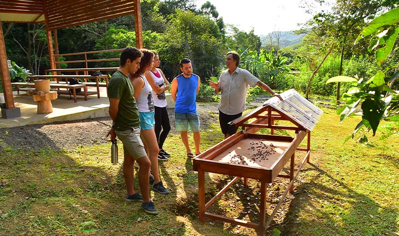 Chocolate Experience Tour in Jaco Costa Rica