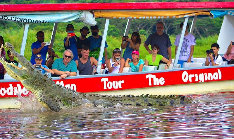 Crocodile Tour in Jaco, Costa Rica - Costa Rica Elite