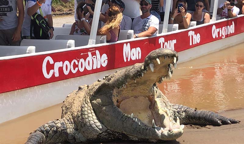 Crocodile Tour in Jaco, Costa Rica - Costa Rica Elite