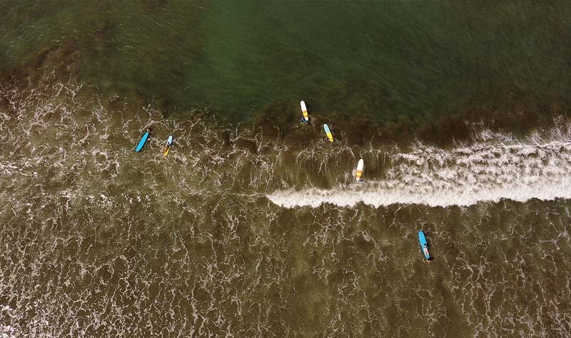 Surfboard Rentals in Jaco, Costa Rica - Costa Rica Elite