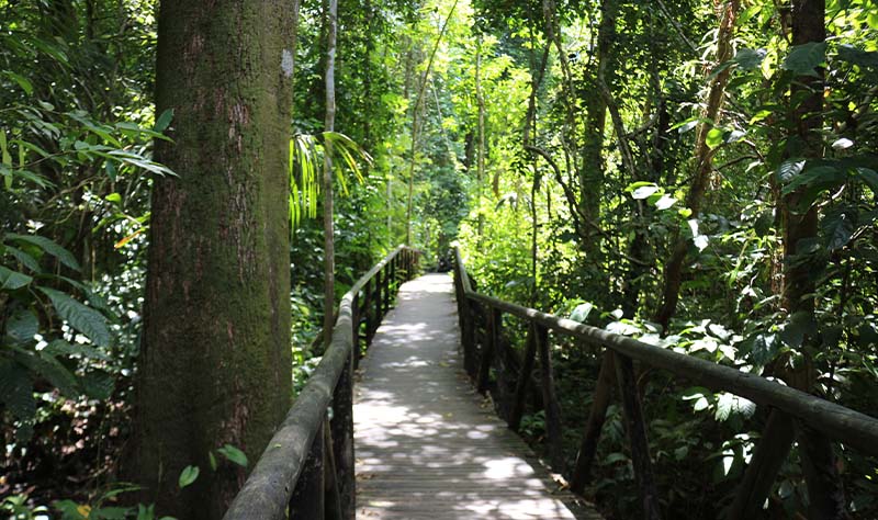 Manuel Antonio National Park Tour