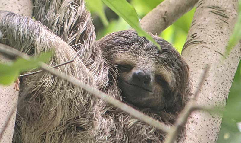 Manuel Antonio National Park Tour