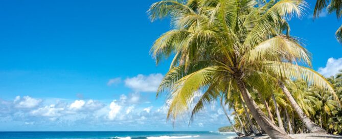 Vacation Rentals Jaco